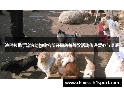 迪巴拉携手流浪动物收容所开展慈善筹款活动传递爱心与温暖 迪巴拉携手流浪动物收容所开展慈善筹款活动传递爱心与温暖