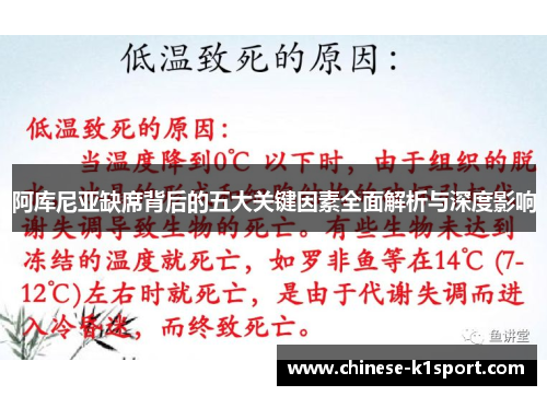 阿库尼亚缺席背后的五大关键因素全面解析与深度影响