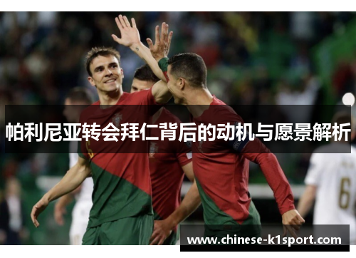 帕利尼亚转会拜仁背后的动机与愿景解析